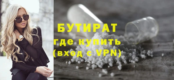 амф Гусь-Хрустальный