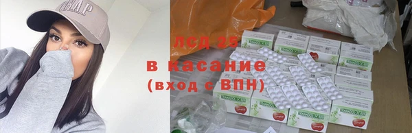 амф Гусь-Хрустальный