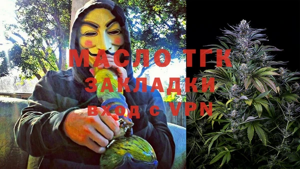 амф Гусь-Хрустальный
