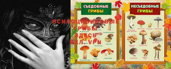 дмт Горно-Алтайск