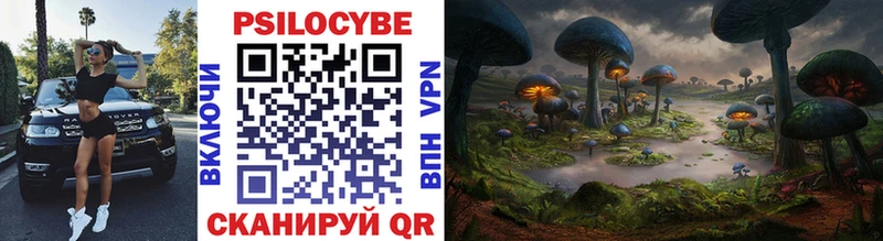 Псилоцибиновые грибы мицелий  Дивногорск 